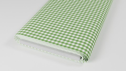 Details - Vichy checks light green